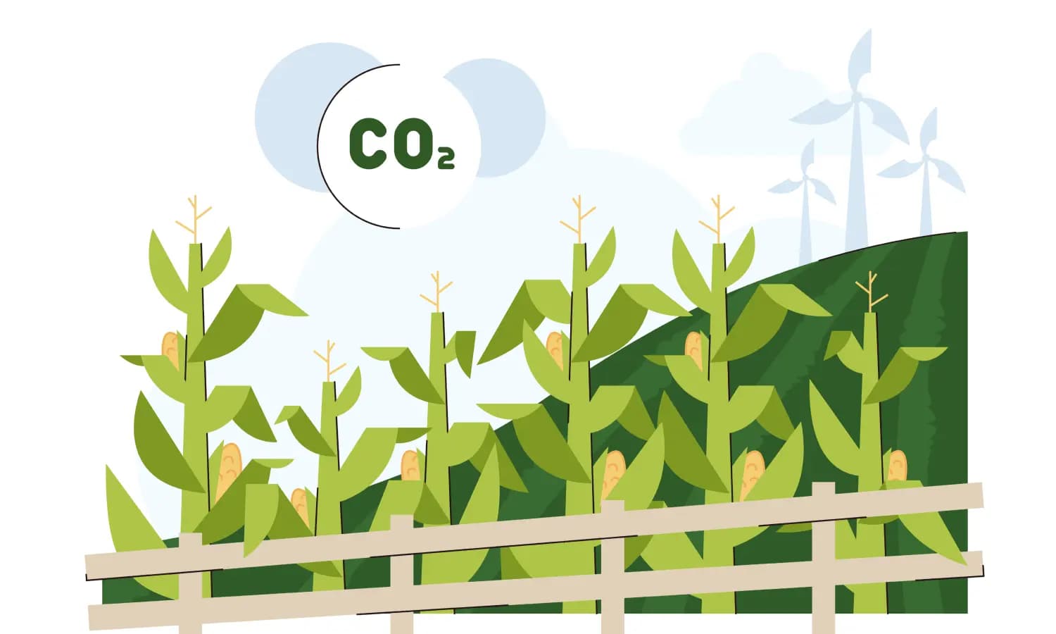 Carbon Accounting in Agriculture: Sustainability in the Primary Sector