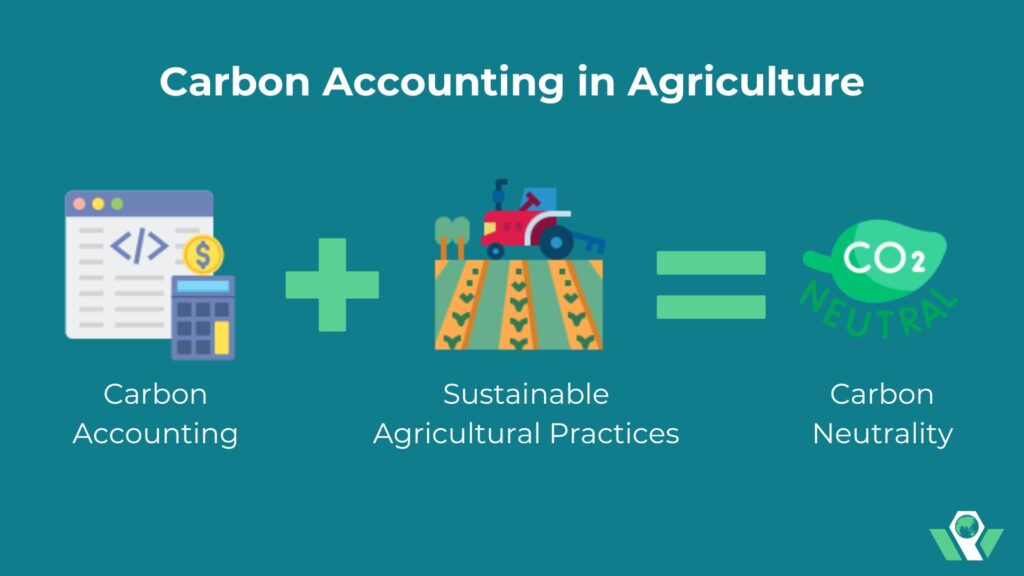 Carbon accounting in agriculture, agriculture, sustainable agriculture, sustainable agricultural practices, carbon accounting